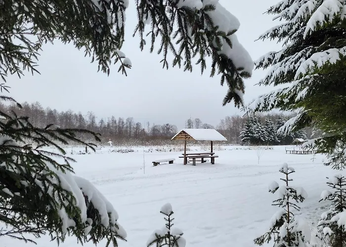 Kemping I Domki Nad Stawem