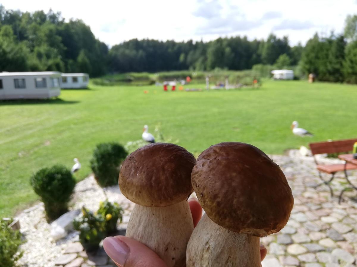 I Nad Stawem Harsz