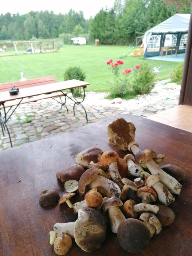 I Nad Stawem Chalet *