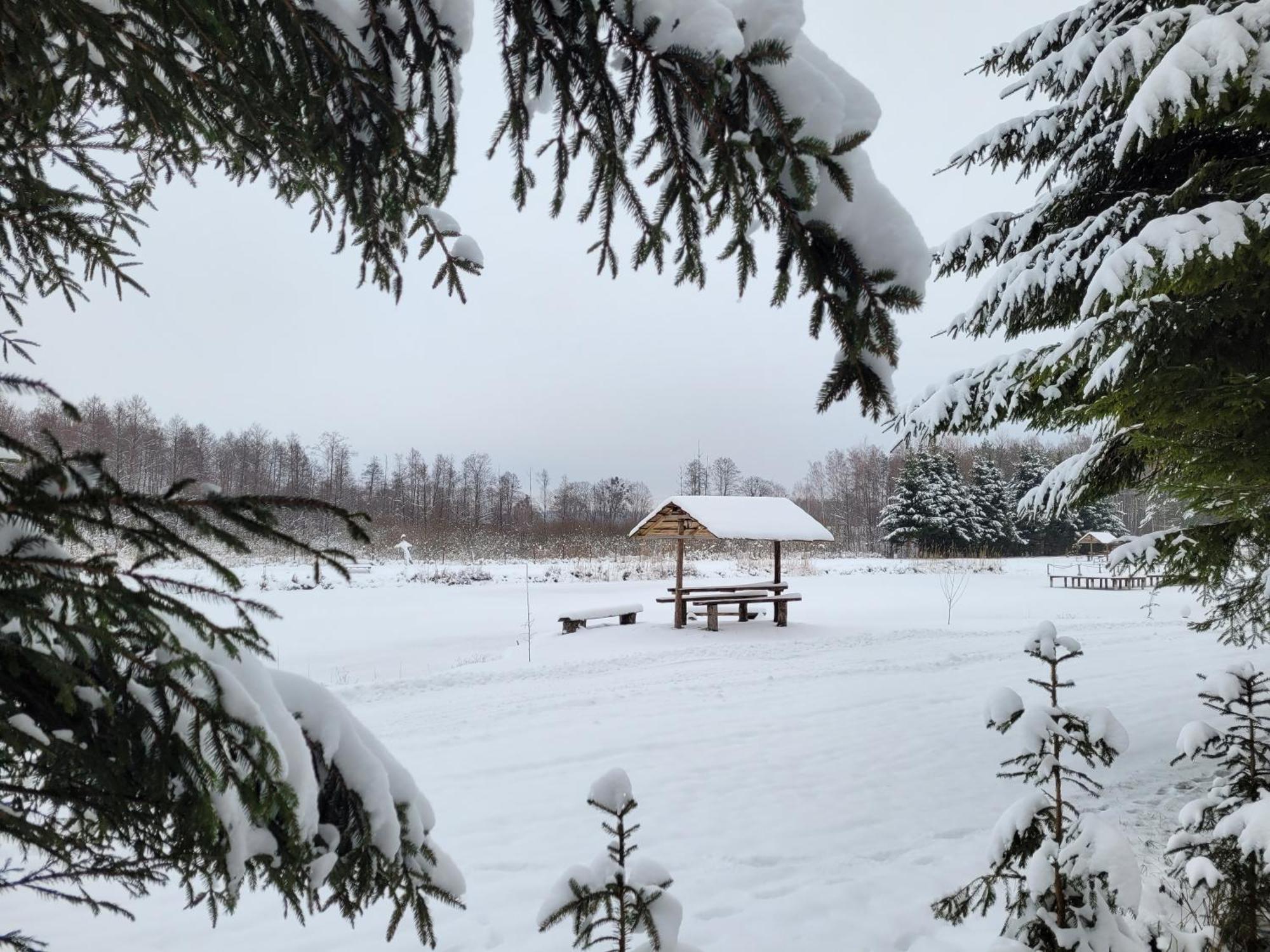 Chalet I Nad Stawem *
